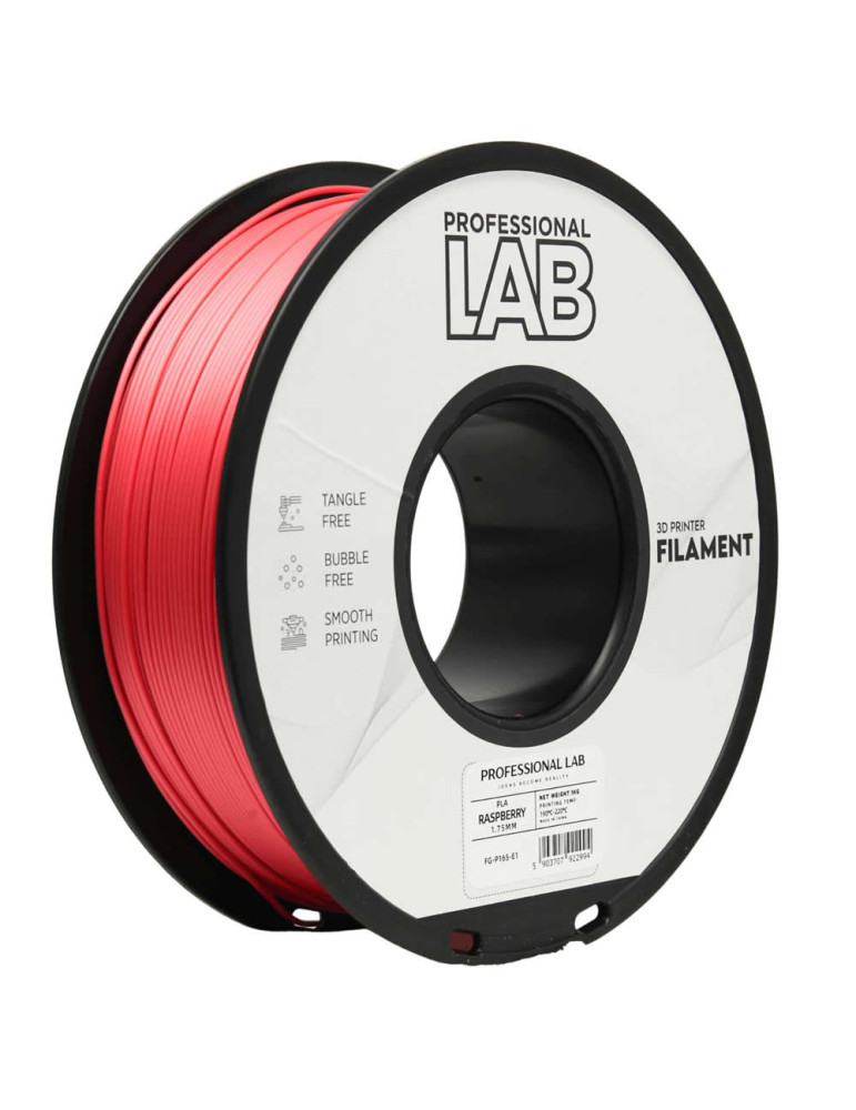 PLA Raspberry Prof. Lab | Filamento Económico | Core XY