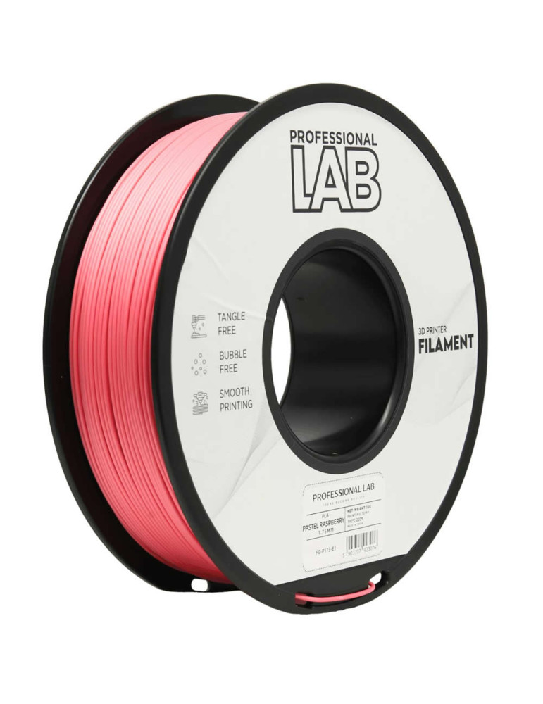 PLA Pastel Raspberry Prof. Lab | Filamento Económico | Core XY